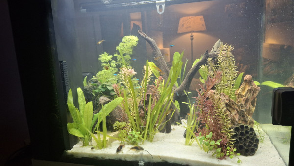 Suite travaux aménagements