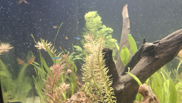 Suite travaux aménagements