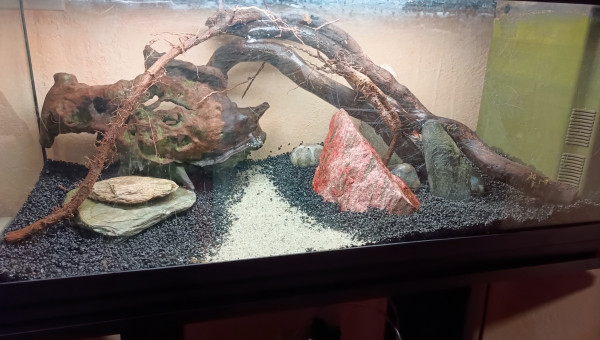 À sec et sans plantes