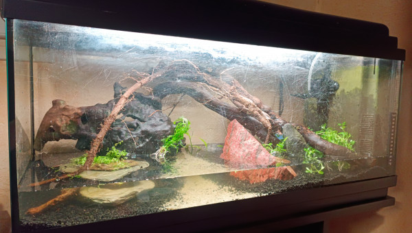 Début de mise en eau