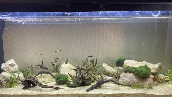 Première installation