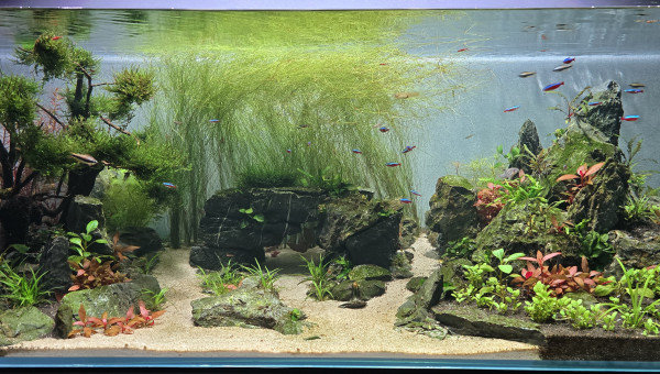 1 mois après  (avant/après)