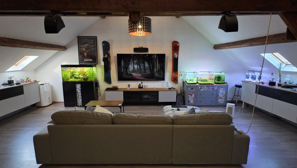 70l hollandais 30l Iwagumi