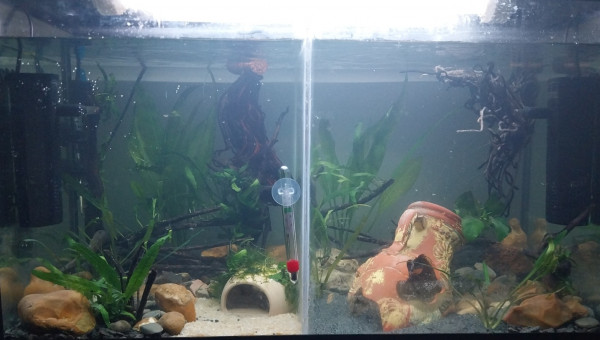 Le monde Bebou et Binou