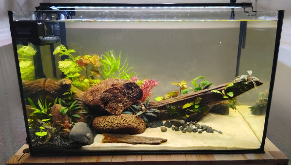 60l (60x30x35) Wildscape Ardèche