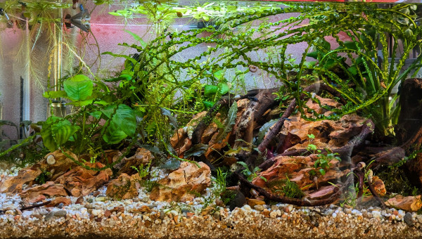 Lumière d'équinoxe