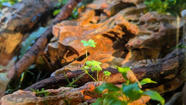 Lumière d'équinoxe