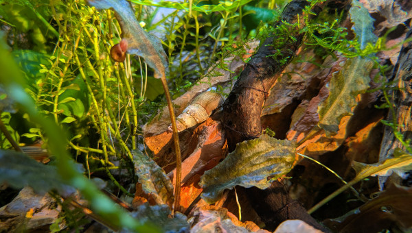 Lumière d'équinoxe