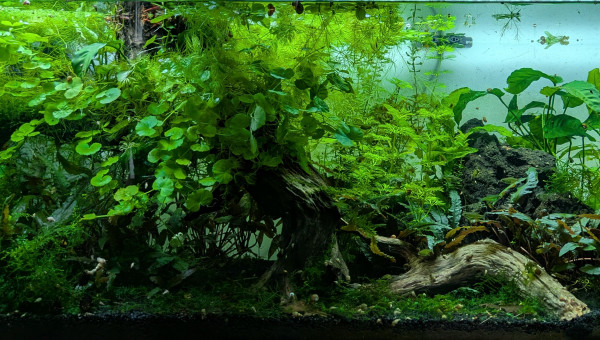 C'est un peu fouillis