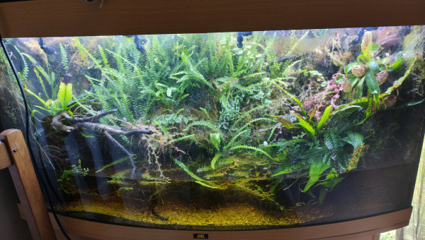 Palu 300L