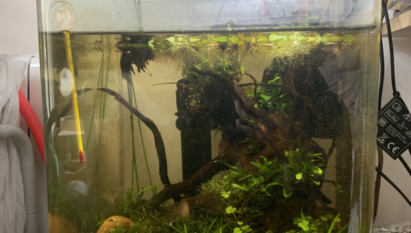 Ça pousse dans le 30L