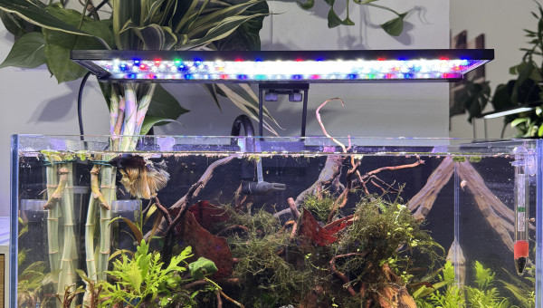 Aqua Japan Rimless Ultra Clear Shallow 45 Aquarium