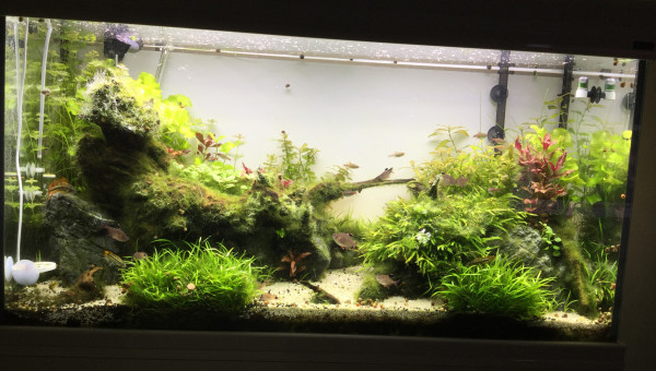 De face au nourrissage