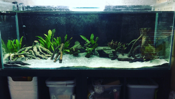 Presque 2 mois après