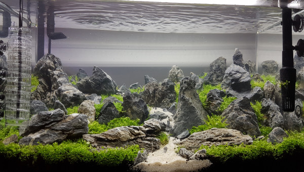 Aquascaping