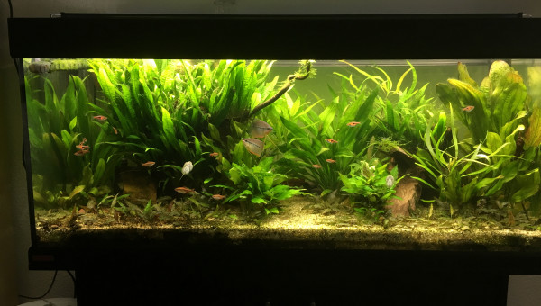 Vue générale (29.10.17)