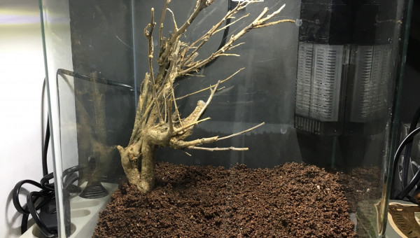 2017.09.09 Création environnement