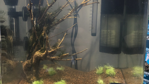 2017.09.21 Mise en eau