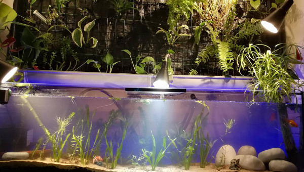 maurice et valentine