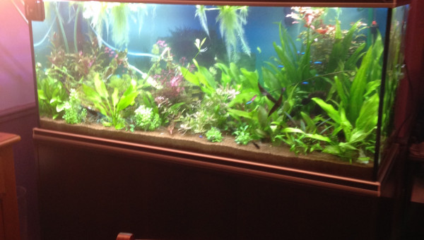 Deux mois d'installation