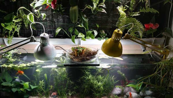 ajout de c02 et filtre