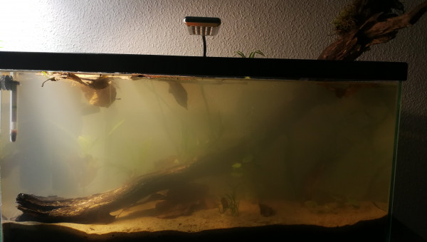 mise en eau 12/12/17