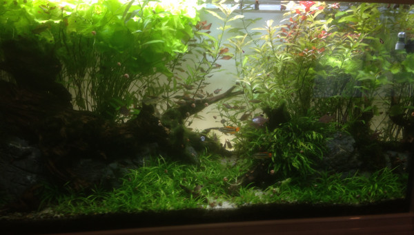 Une coupe s'impose...