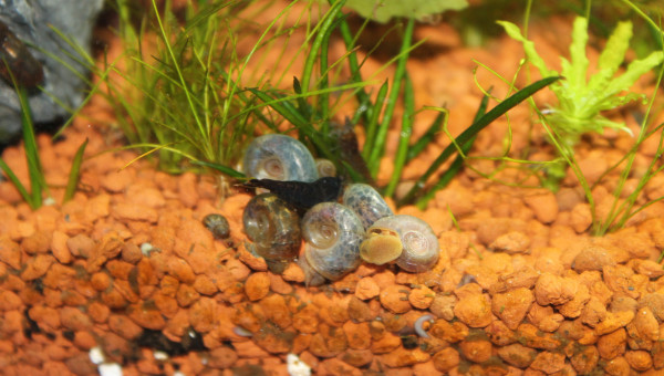 L'heure de la bouffe