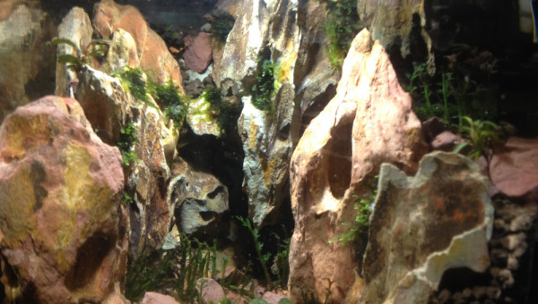 Silence ça pousse :)