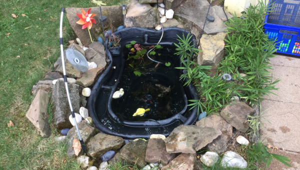 Bassin extérieur 250 litres