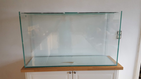 Mon aquarium vide