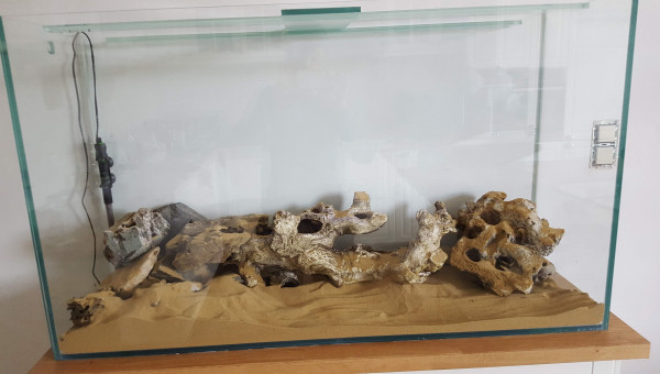 Mon aquarium avec ses pierres et sables
