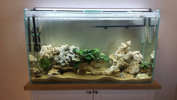 Mon aquarium prêt à cycler