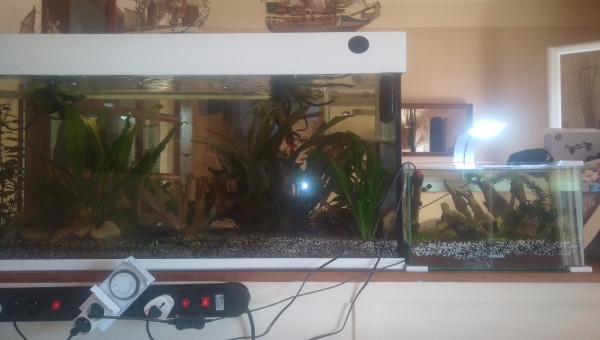 GRAND BAC  + BAC  D'ELEVAGE