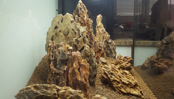 Hardscape 2