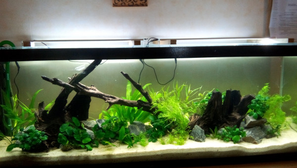 Bac Amérique du Sud