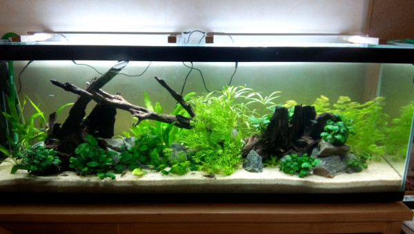 Bac Amérique du Sud