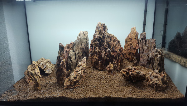 Hardscape 1
