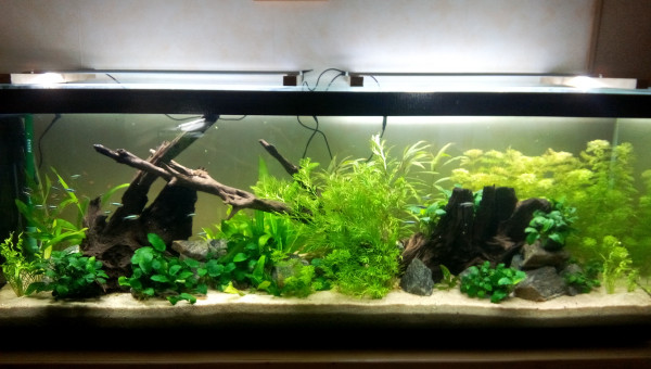 Bac Amérique du Sud