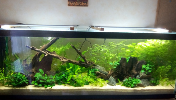 Bac Amérique du Sud