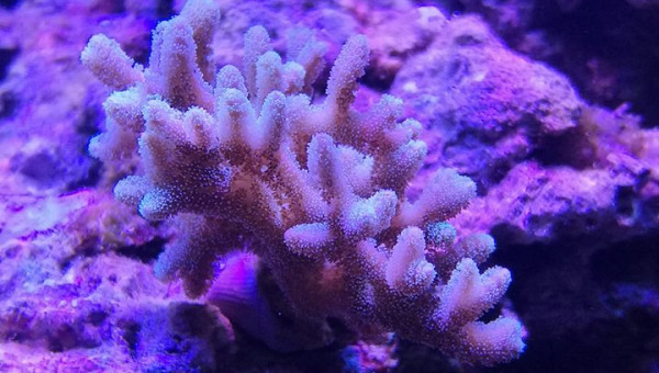 Maintenance, installation balling, installation goulotte elec 17/11/18