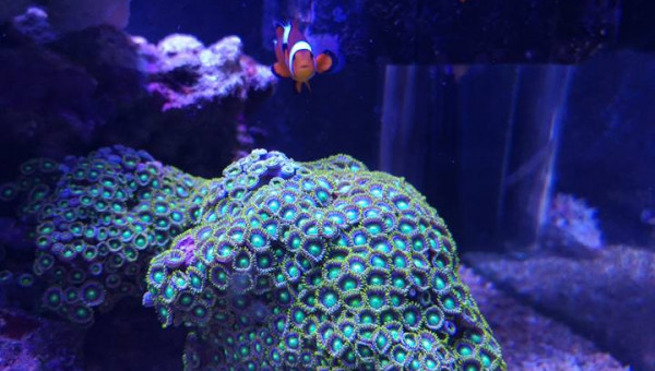 Maintenance, installation balling, installation goulotte elec 17/11/18