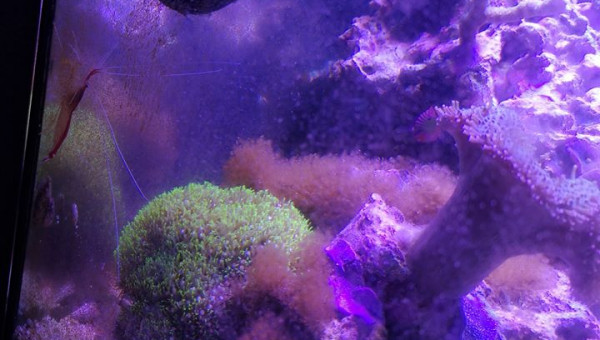 Maintenance, installation balling, installation goulotte elec 17/11/18