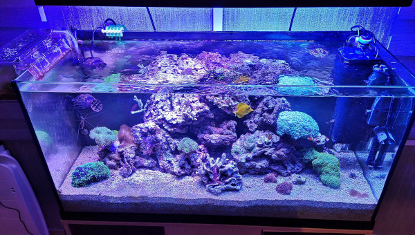 Maintenance, installation balling, installation goulotte elec 17/11/18