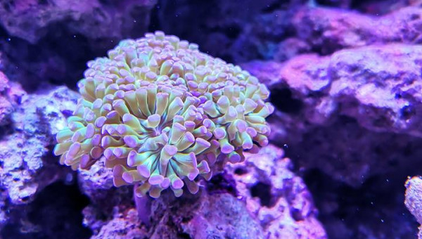 Maintenance, installation balling, installation goulotte elec 17/11/18