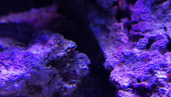 Maintenance, installation balling, installation goulotte elec 17/11/18