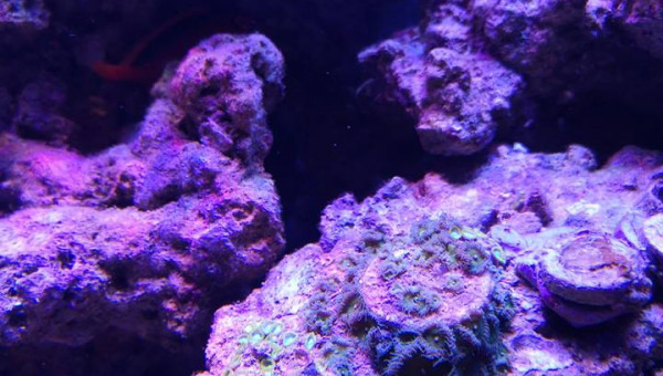 Maintenance, installation balling, installation goulotte elec 17/11/18