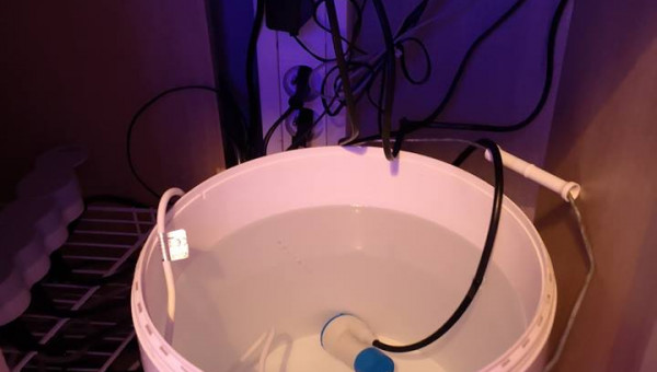 Maintenance, installation balling, installation goulotte elec 17/11/18