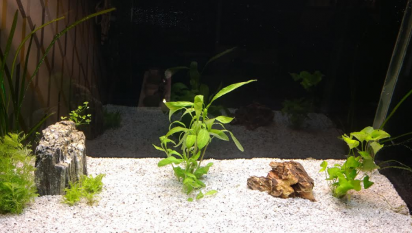 La première photo de notre bac