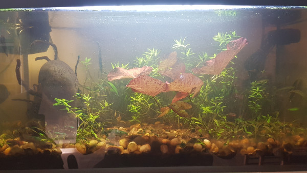 Mise à jours post noel